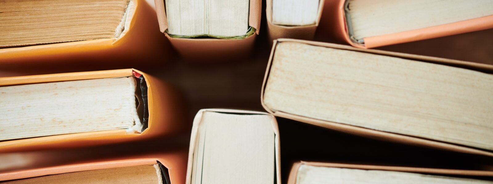 Polscy laureaci Nagrody Nobla w dziedzinie literatury 1 ms4